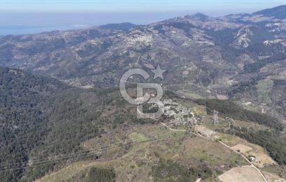 Seferihisar Gödence'de doğal kaynak suyu olan satılık tarla 