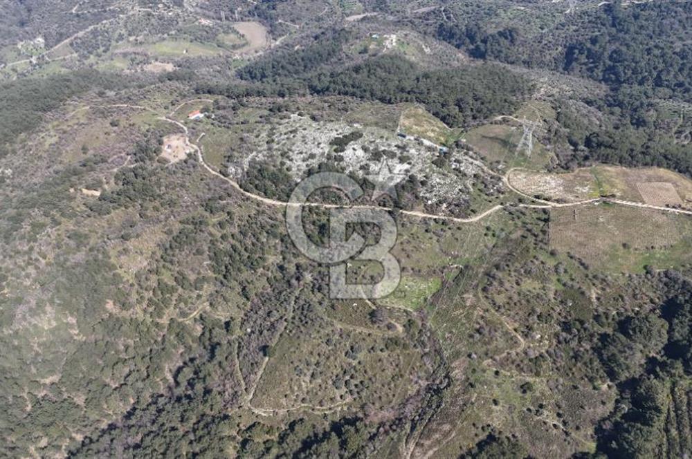 Seferihisar Gödence'de doğal kaynak suyu olan satılık tarla 