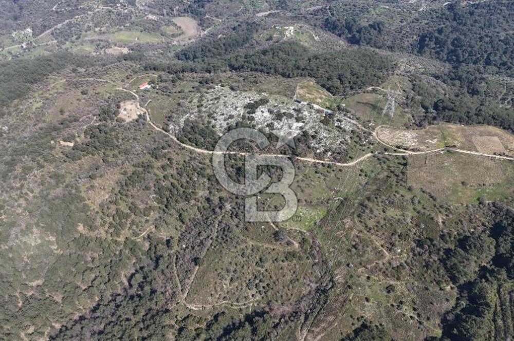 Seferihisar Gödence'de doğal kaynak suyu olan satılık tarla 