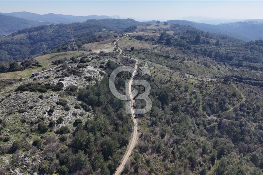 Seferihisar Gödence'de doğal kaynak suyu olan satılık tarla 