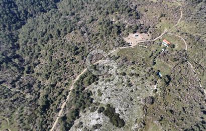 Seferihisar Gödence'de doğal kaynak suyu olan satılık tarla 