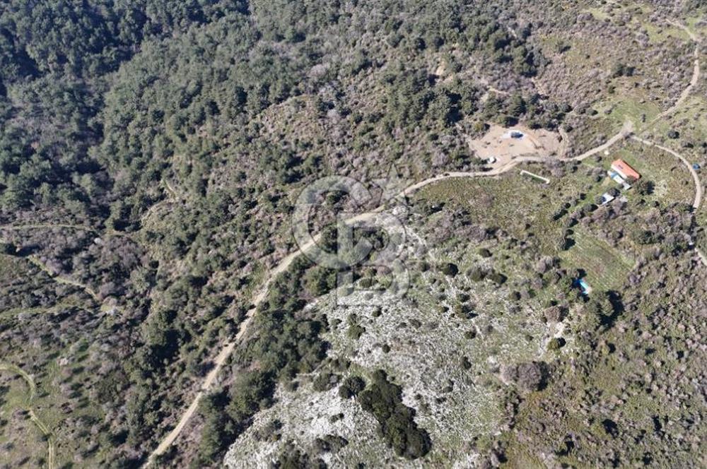 Seferihisar Gödence'de doğal kaynak suyu olan satılık tarla 