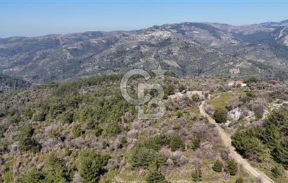 Seferihisar Gödence'de doğal kaynak suyu olan satılık tarla 