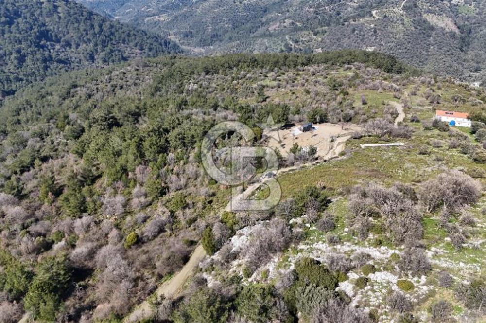 Seferihisar Gödence'de doğal kaynak sulu satılık tarla