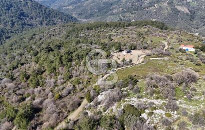 Seferihisar Gödence'de doğal kaynak sulu satılık tarla