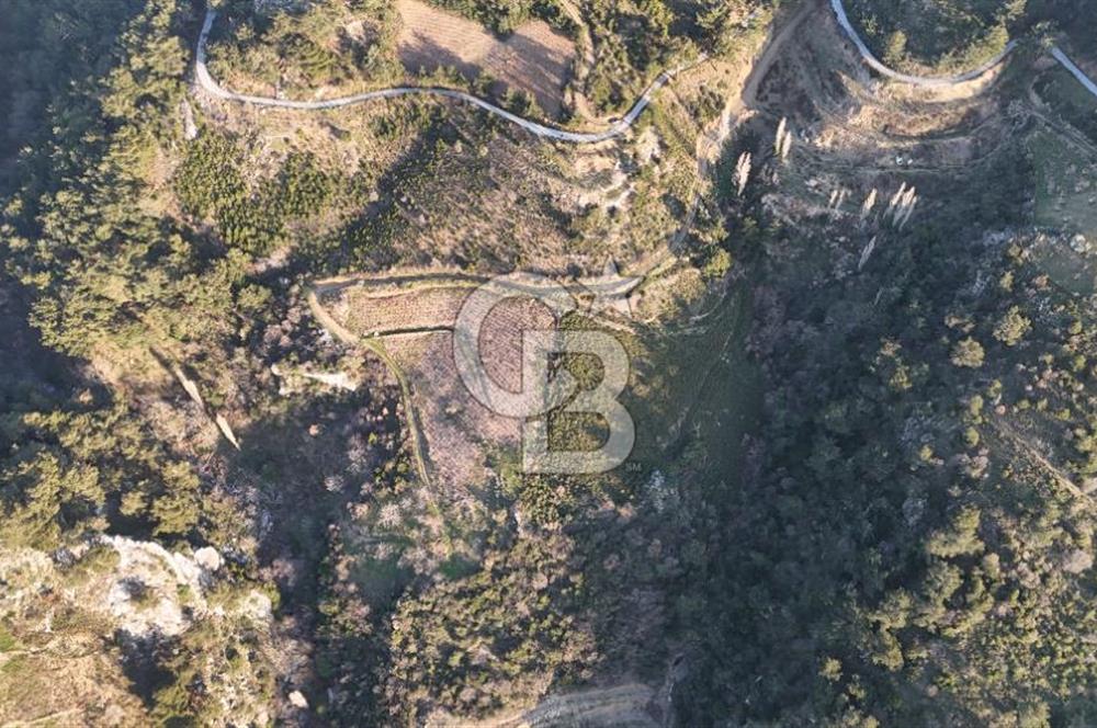 Karabağlar Kavacık'ta konut + ticari yapı kayıt belgeli satılık bağ