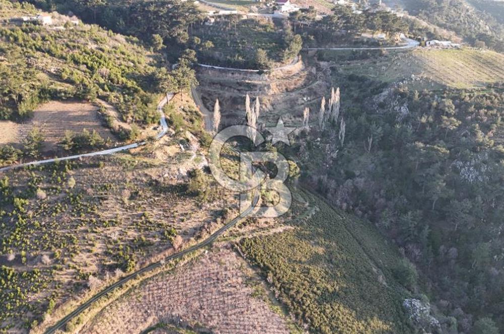 Karabağlar Kavacık'ta konut + ticari yapı kayıt belgeli satılık bağ