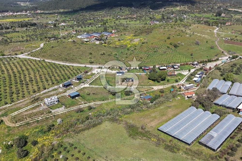 Urla Bademler'de Altyapısı Hazır Satılık Tarla