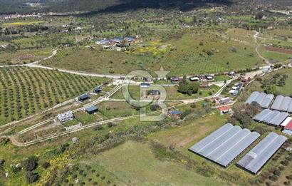 Urla Bademler'de Altyapısı Hazır Satılık Tarla