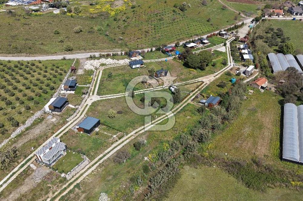 Urla Bademler'de Altyapısı Hazır Satılık Tarla