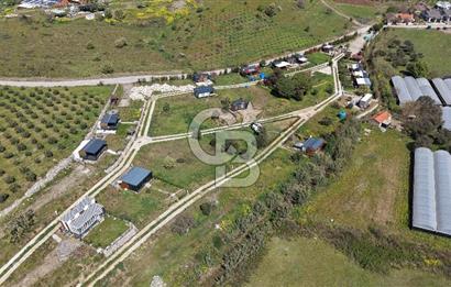 Urla Bademler'de Altyapısı Hazır Satılık Tarla