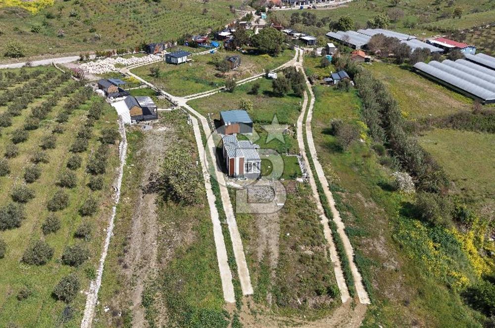 Urla Bademler'de Altyapısı Hazır Satılık Tarla