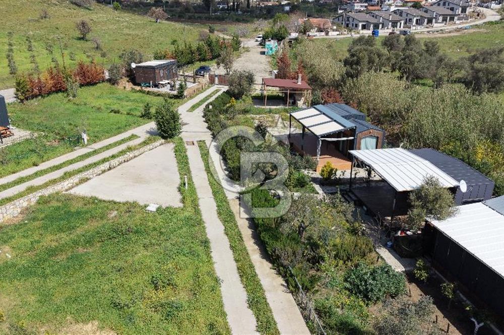 Urla Bademler'de Altyapısı Hazır Satılık Tarla