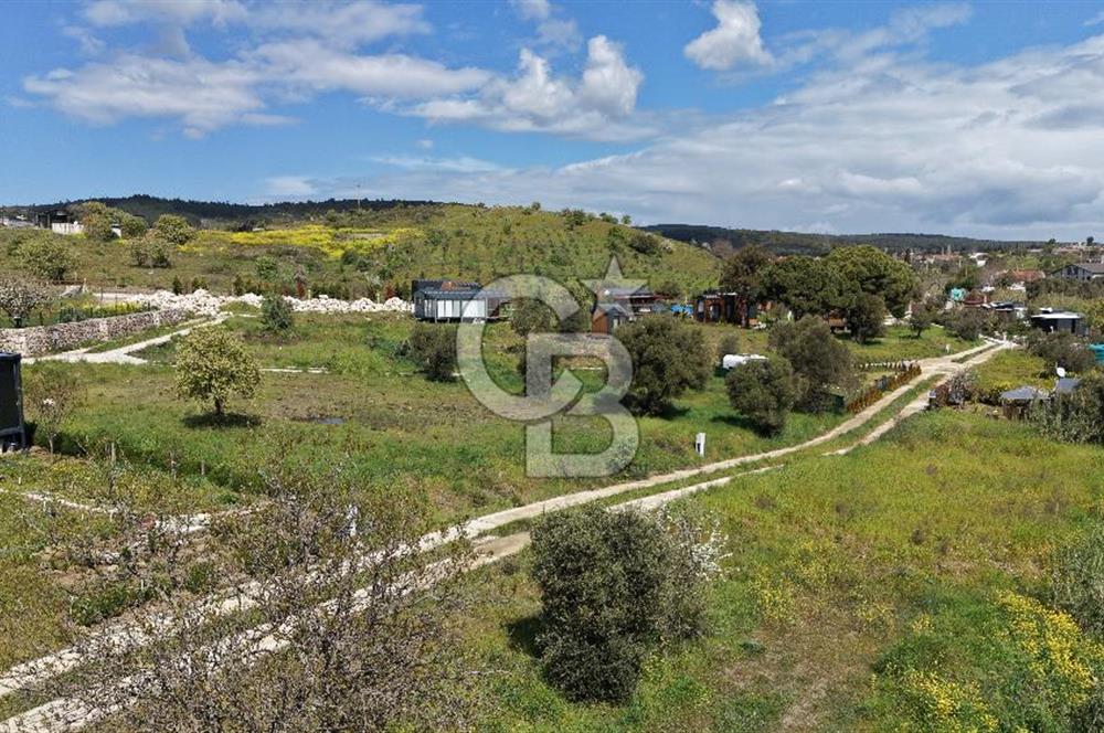 Urla Bademler'de Altyapısı Hazır Satılık Tarla