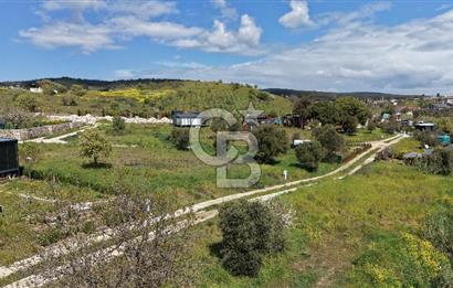 Urla Bademler'de Altyapısı Hazır Satılık Tarla