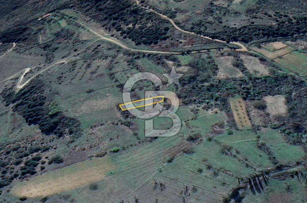 Bilecik İlyasbey'de Yatırımlık Fırsat: Doğayla İç İçe 504 m²