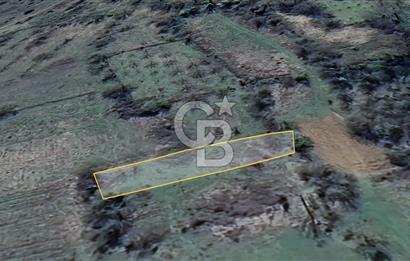 Bilecik İlyasbey'de Yatırımlık Fırsat: Doğayla İç İçe 504 m²