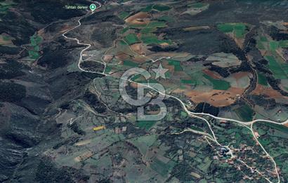 Bilecik İlyasbey'de Yatırımlık Fırsat: Doğayla İç İçe 504 m²