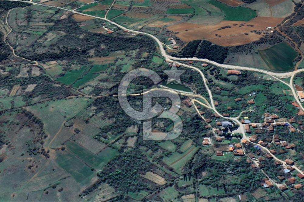 Bilecik İlyasbey'de Yatırımlık Fırsat: Doğayla İç İçe 504 m²