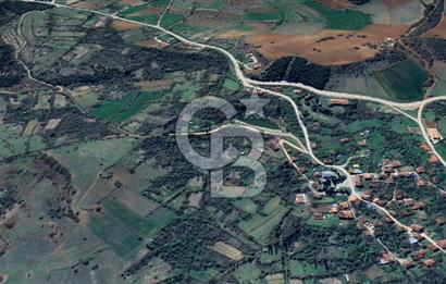 Bilecik İlyasbey'de Yatırımlık Fırsat: Doğayla İç İçe 504 m²