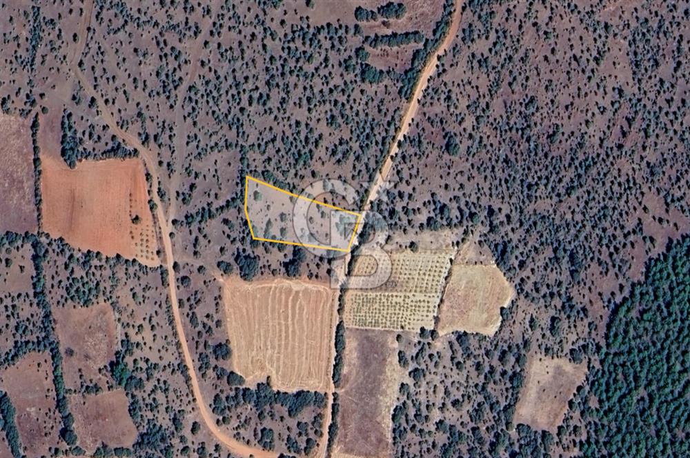 Uşak Karahallı'da Yatırımın Yeni Adresi: 2.064 m²