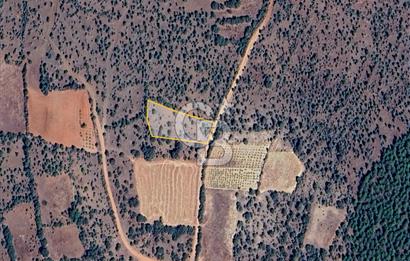 Uşak Karahallı'da Yatırımın Yeni Adresi: 2.064 m²