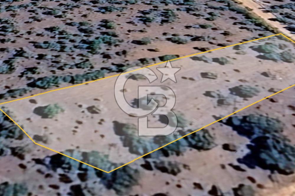 Uşak Karahallı'da Yatırımın Yeni Adresi: 2.064 m²