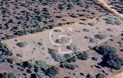 Uşak Karahallı'da Yatırımın Yeni Adresi: 2.064 m²