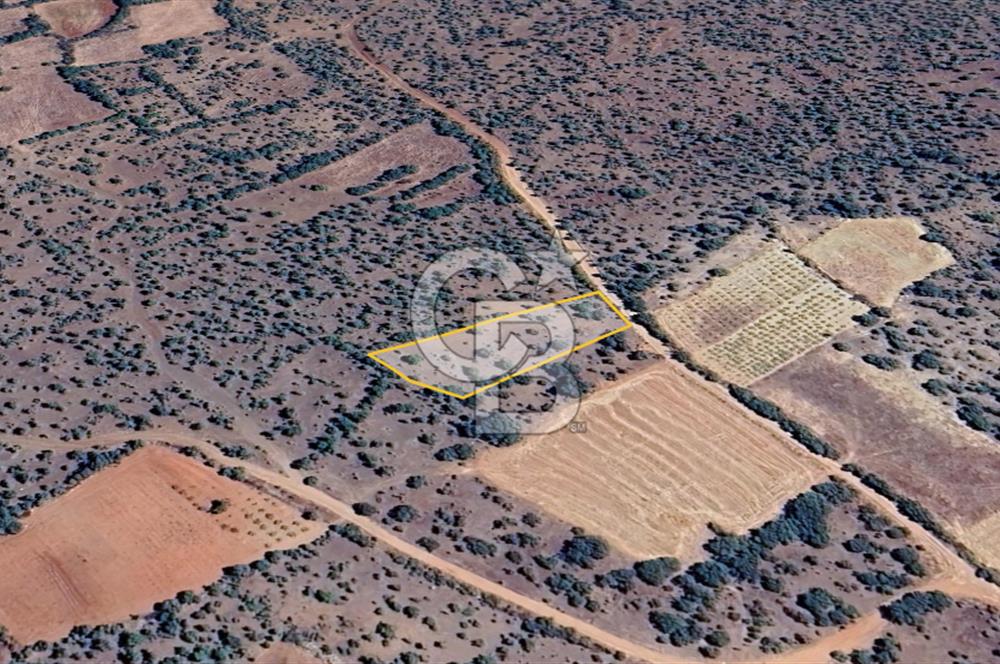 Uşak Karahallı'da Yatırımın Yeni Adresi: 2.064 m²