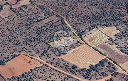 Uşak Karahallı'da Yatırımın Yeni Adresi: 2.064 m²