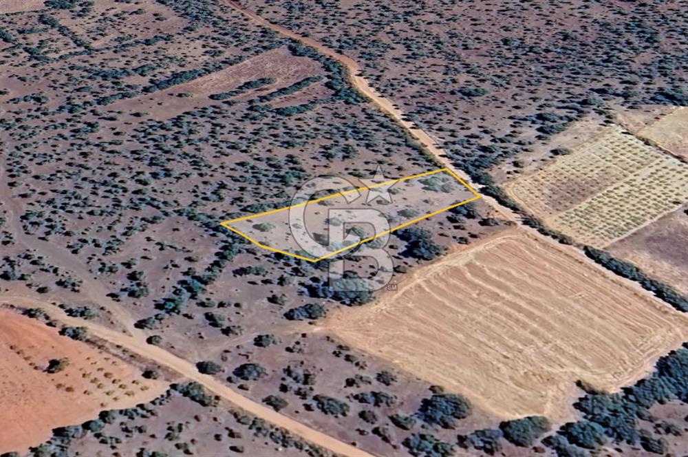 Uşak Karahallı'da Yatırımın Yeni Adresi: 2.064 m²