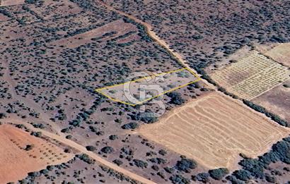 Uşak Karahallı'da Yatırımın Yeni Adresi: 2.064 m²