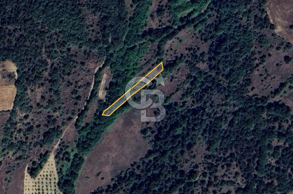 BİLECİK GÖLPAZARI YATIRIMLIK & HOBİYE UYGUN 1.056 m² BAHÇE