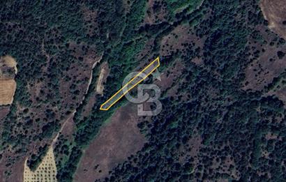 BİLECİK GÖLPAZARI YATIRIMLIK & HOBİYE UYGUN 1.056 m² BAHÇE