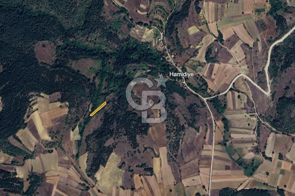 BİLECİK GÖLPAZARI YATIRIMLIK & HOBİYE UYGUN 1.056 m² BAHÇE