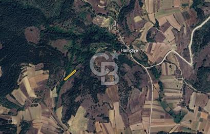 BİLECİK GÖLPAZARI YATIRIMLIK & HOBİYE UYGUN 1.056 m² BAHÇE