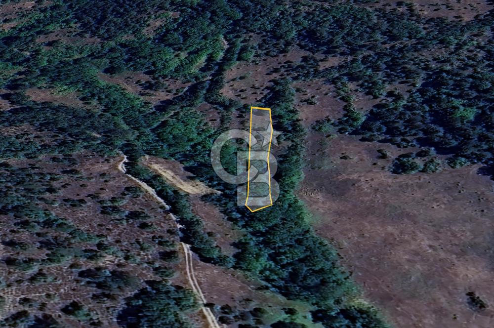 BİLECİK GÖLPAZARI YATIRIMLIK & HOBİYE UYGUN 1.056 m² BAHÇE