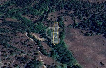 BİLECİK GÖLPAZARI YATIRIMLIK & HOBİYE UYGUN 1.056 m² BAHÇE