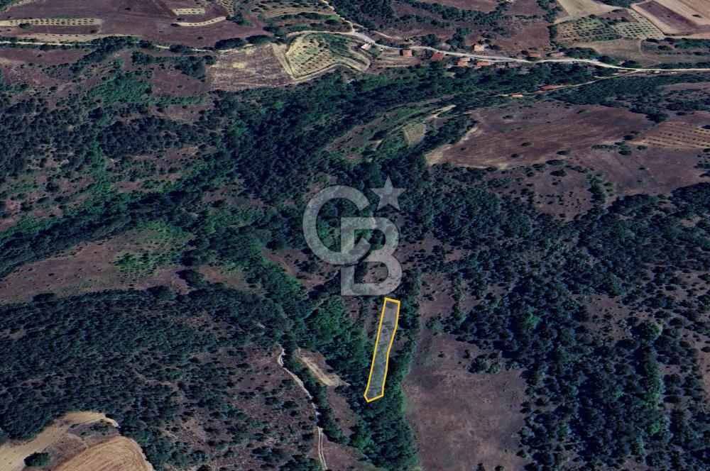 BİLECİK GÖLPAZARI YATIRIMLIK & HOBİYE UYGUN 1.056 m² BAHÇE