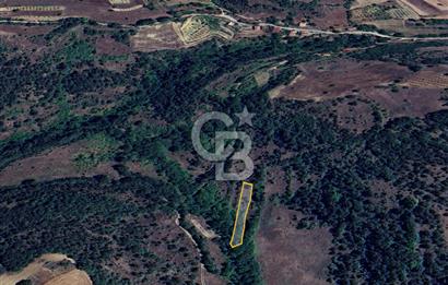 BİLECİK GÖLPAZARI YATIRIMLIK & HOBİYE UYGUN 1.056 m² BAHÇE