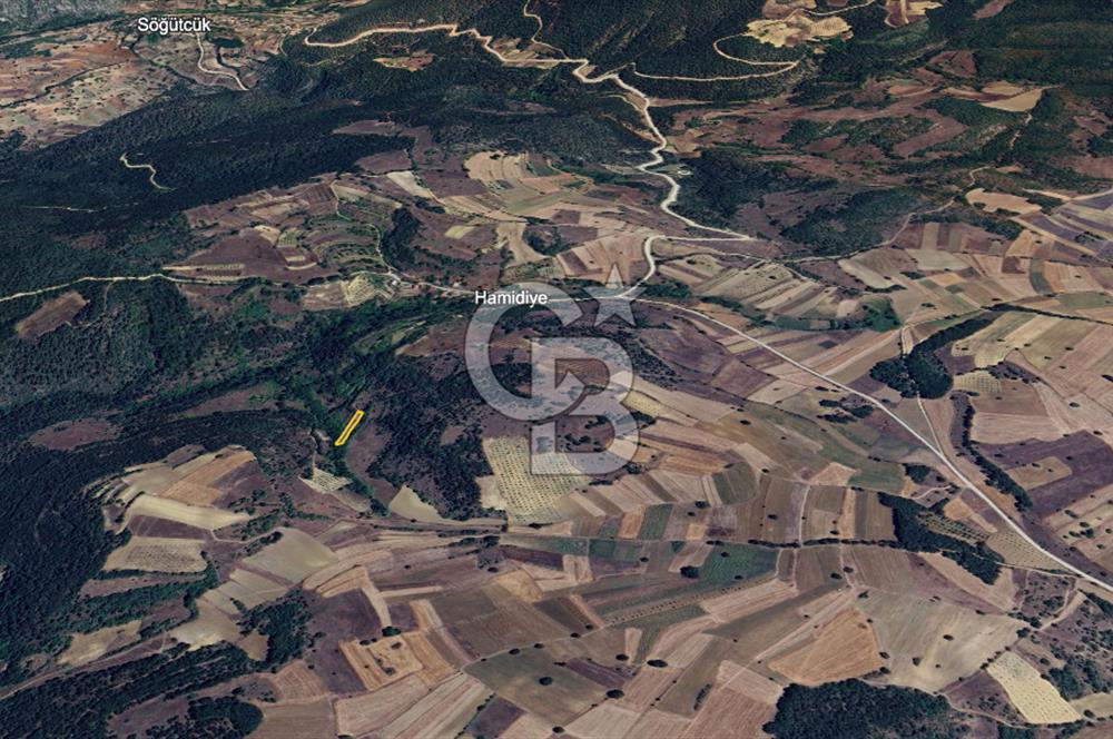 BİLECİK GÖLPAZARI YATIRIMLIK & HOBİYE UYGUN 1.056 m² BAHÇE