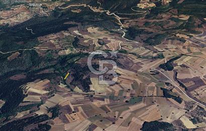 BİLECİK GÖLPAZARI YATIRIMLIK & HOBİYE UYGUN 1.056 m² BAHÇE