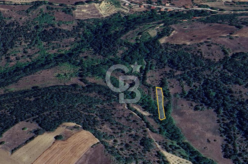 BİLECİK GÖLPAZARI YATIRIMLIK & HOBİYE UYGUN 1.056 m² BAHÇE