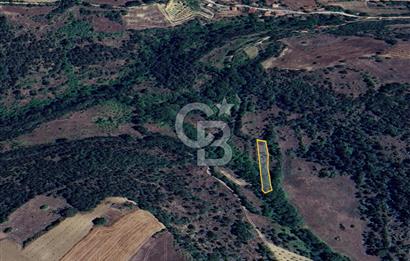 BİLECİK GÖLPAZARI YATIRIMLIK & HOBİYE UYGUN 1.056 m² BAHÇE