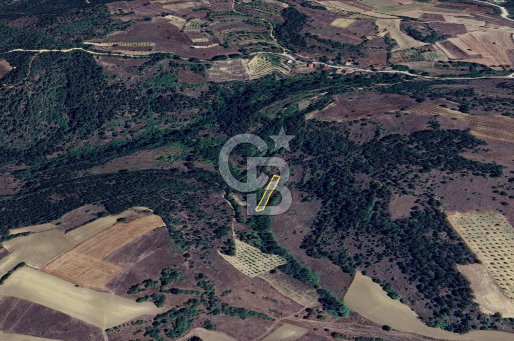 BİLECİK GÖLPAZARI YATIRIMLIK & HOBİYE UYGUN 1.056 m² BAHÇE