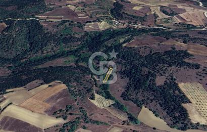 BİLECİK GÖLPAZARI YATIRIMLIK & HOBİYE UYGUN 1.056 m² BAHÇE