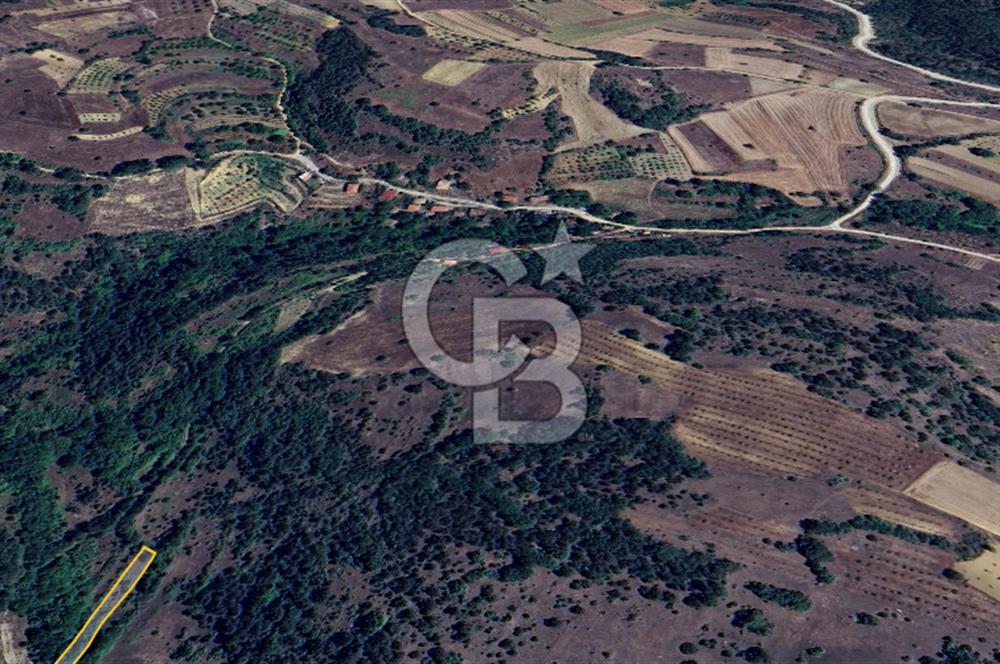 BİLECİK GÖLPAZARI YATIRIMLIK & HOBİYE UYGUN 1.056 m² BAHÇE