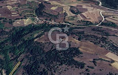 BİLECİK GÖLPAZARI YATIRIMLIK & HOBİYE UYGUN 1.056 m² BAHÇE