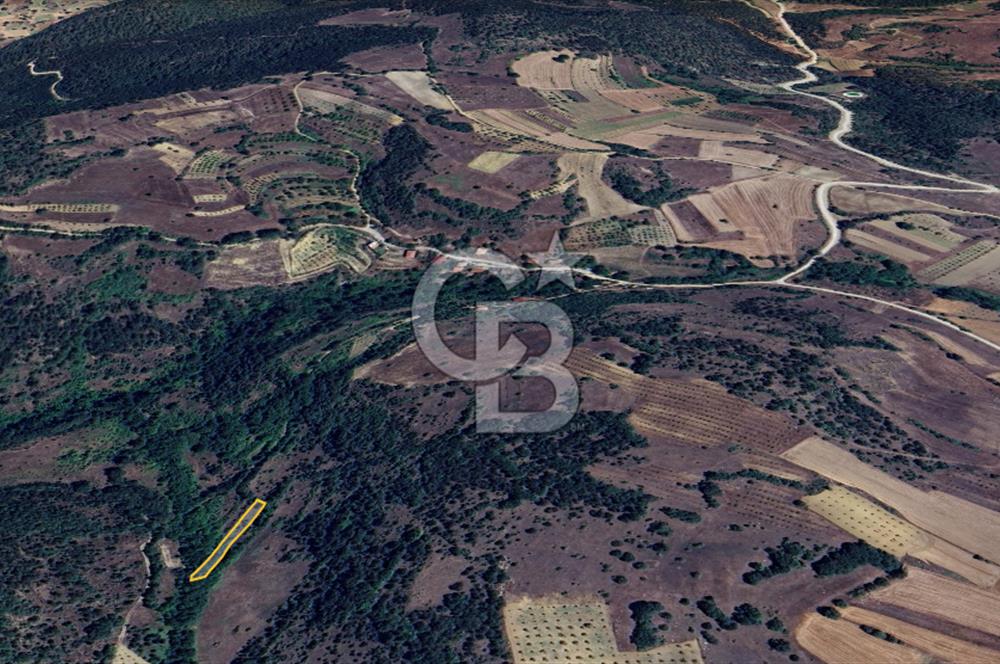 BİLECİK GÖLPAZARI YATIRIMLIK & HOBİYE UYGUN 1.056 m² BAHÇE