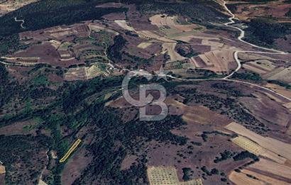 BİLECİK GÖLPAZARI YATIRIMLIK & HOBİYE UYGUN 1.056 m² BAHÇE